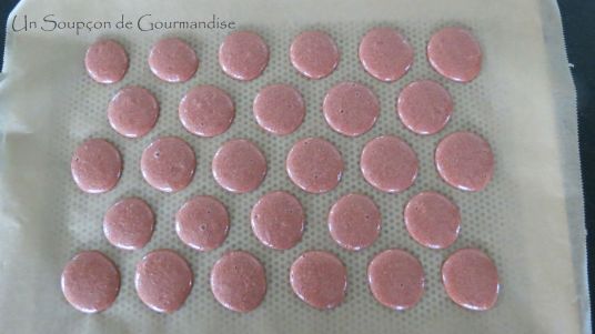 macarons-1