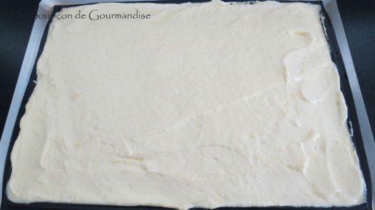 entremets-framboise-chocolat-10