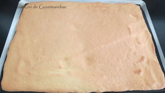 entremets-framboise-chocolat-12