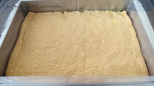 entremets-framboise-chocolat-15