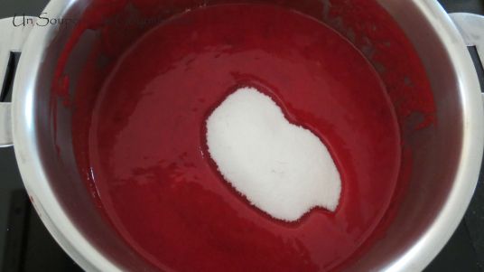 entremets-framboise-chocolat-20