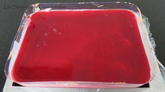 entremets-framboise-chocolat-28