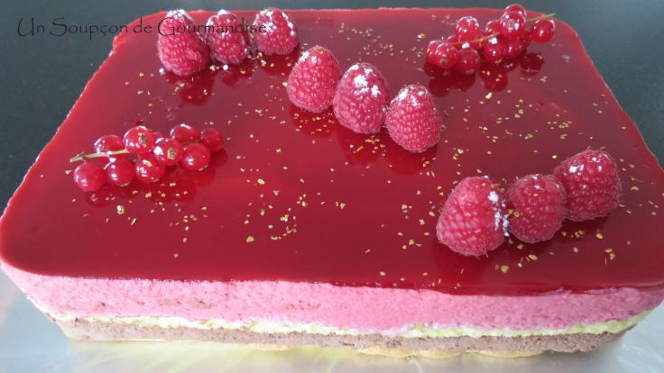 entremets-framboise-chocolat-32