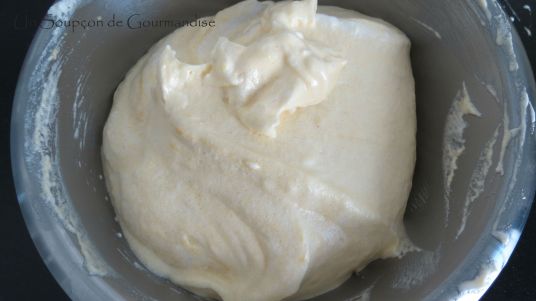 entremets-framboise-chocolat-9