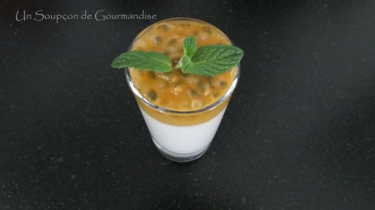panna-cotta-coco-11