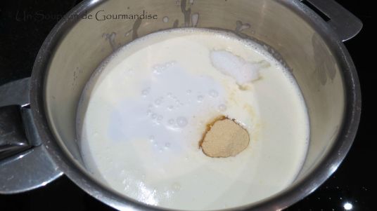 panna-cotta-coco-2