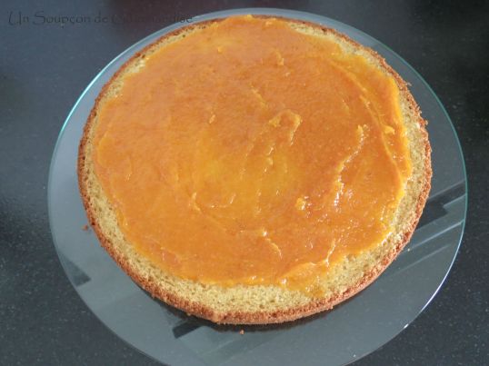 Gâteau abricot-romarin 34