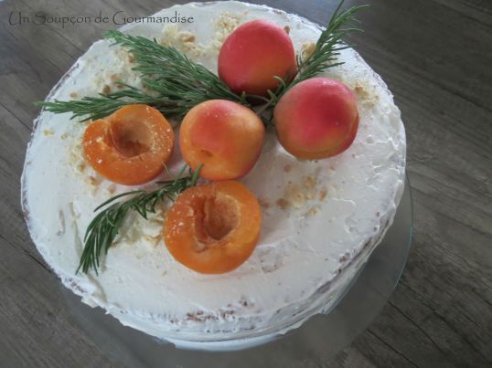 Gâteau abricot-romarin 45